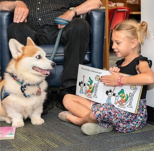 Girl Reading To Therapy Dog At Dover Library Tales For Tails Program